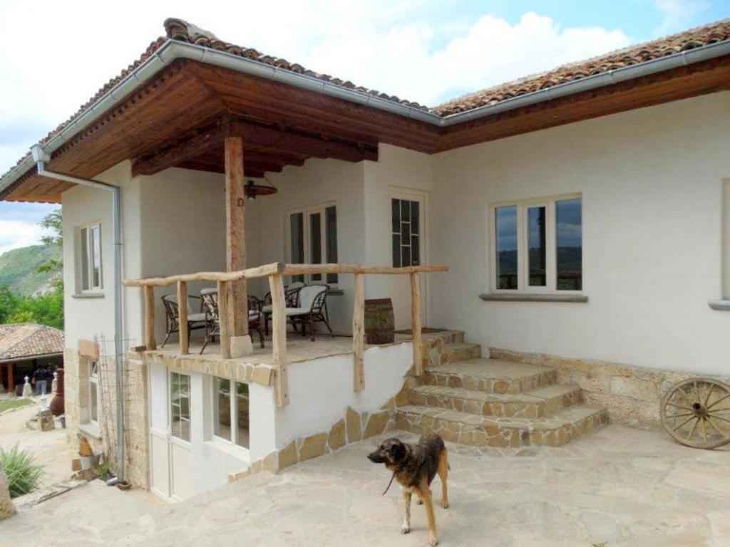 Guest House Biekorf Kostandenets 외부 사진